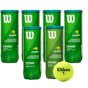 PACK X6 PRINCIPIANTES PUNTO VERDE